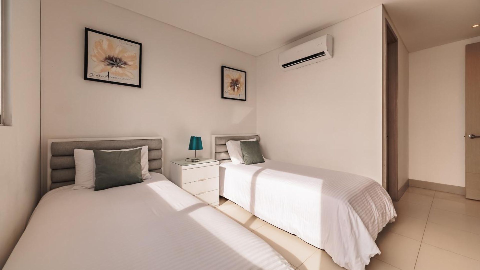 Palmetto By Mome * Cartagena