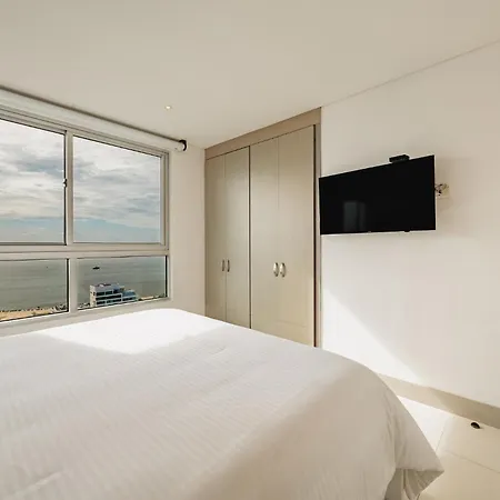 Palmetto By Mome * Cartagena