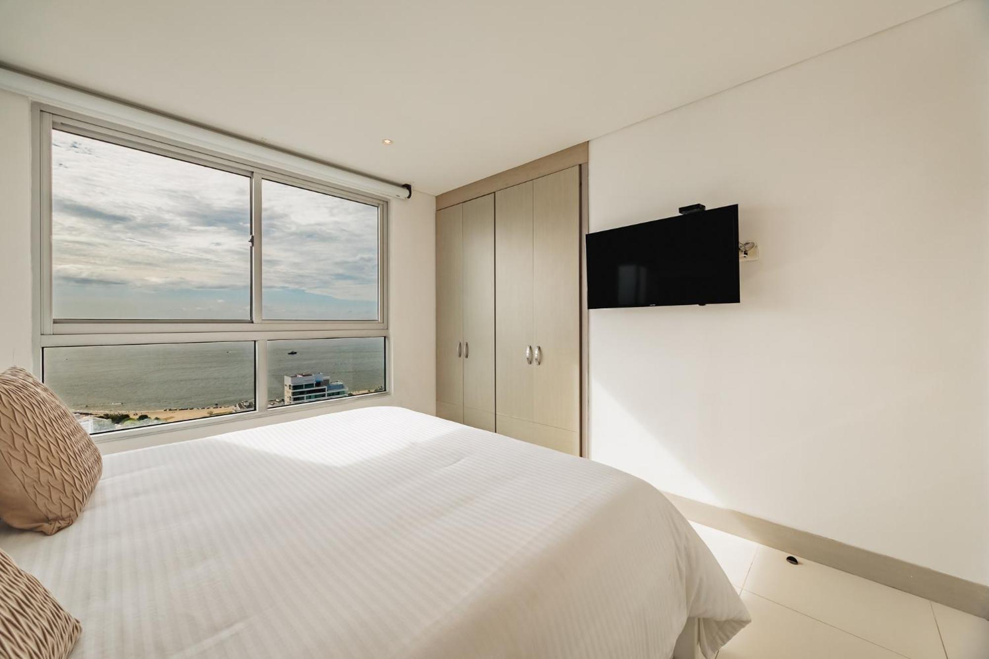 Palmetto By Mome * Cartagena