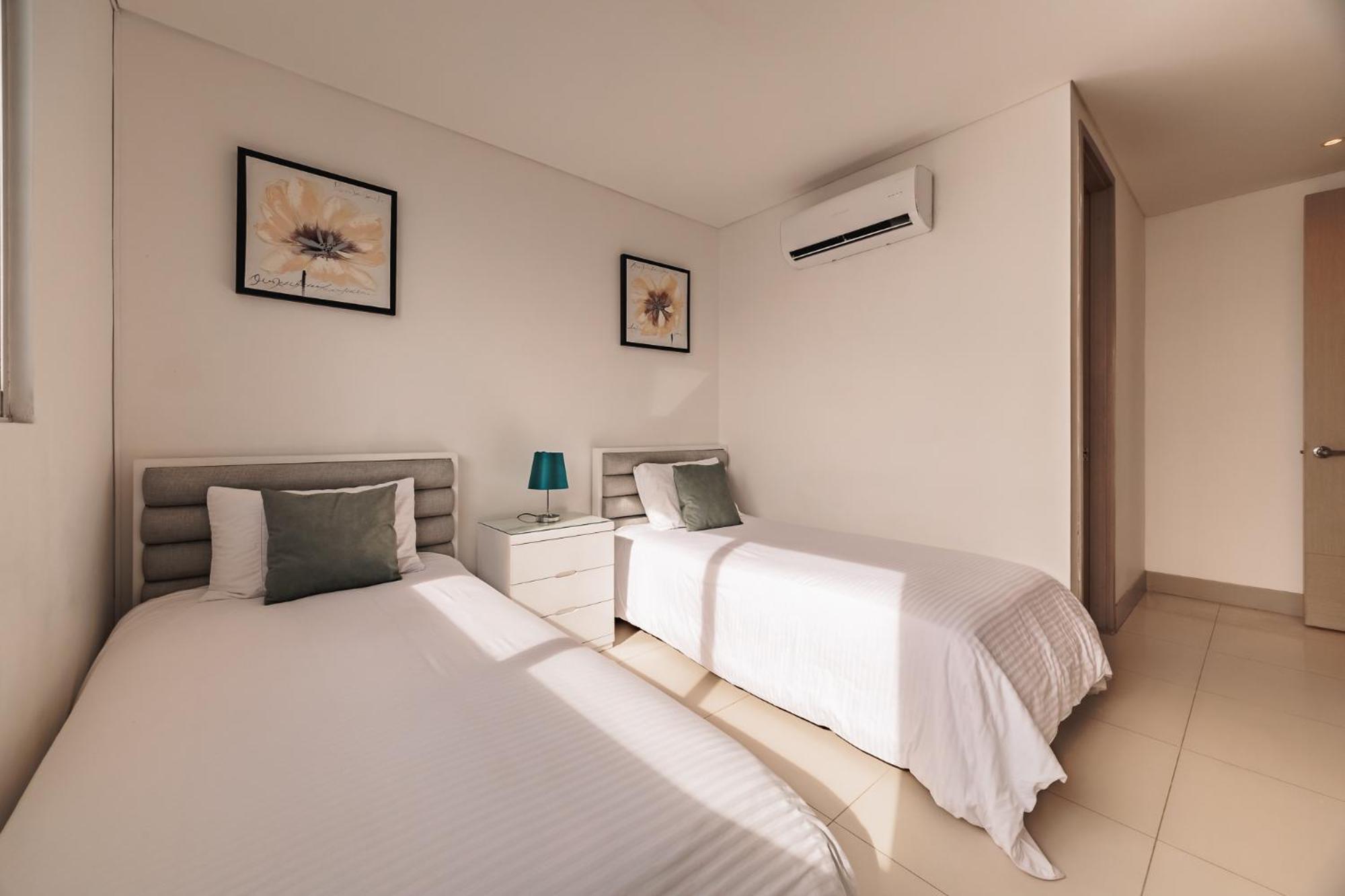 Palmetto By Mome * Cartagena